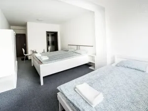 Prodej ubytování, Most, 312 m2