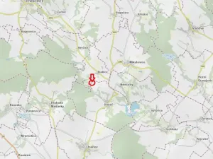 Prodej lesa, Plaveč, 1640 m2