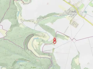 Prodej lesa, Plaveč, 1640 m2