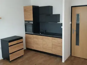 Prodej bytu 2+kk, Ústí nad Labem, Na Kohoutě, 43 m2