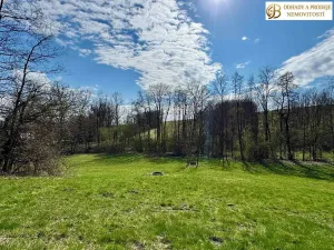 Prodej pozemku pro bydlení, Libina, 8112 m2