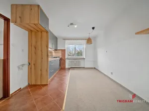 Prodej bytu 2+1, Pardubice - Zelené Předměstí, Wolkerova, 50 m2