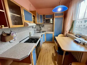 Pronájem bytu 2+1, Brno, Studená, 60 m2