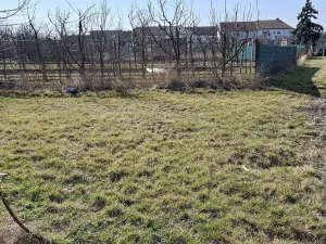 Prodej rodinného domu, Moutnice, 323 m2