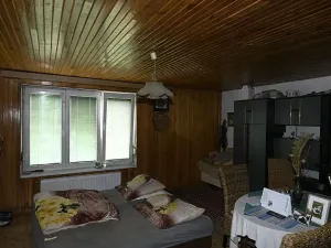 Dražba - jiné, Znojmo, 110 m2