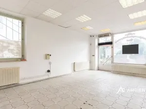 Prodej obchodního prostoru, Újezd u Brna, Nádražní, 901 m2
