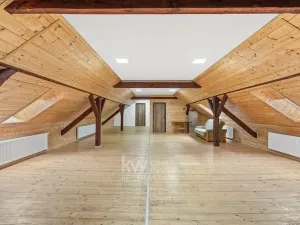 Prodej obchodního prostoru, Milíkov, 420 m2