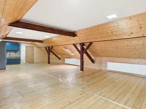 Prodej obchodního prostoru, Milíkov, 420 m2