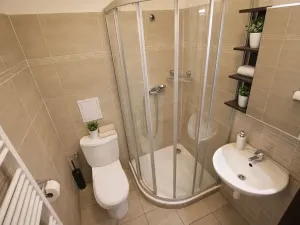 Pronájem bytu 1+1, Brno, Koliště, 31 m2