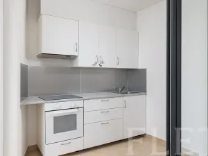 Pronájem bytu 1+kk, Praha - Kamýk, Freiwaldova, 43 m2