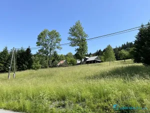 Prodej lesa, Krásná, 21810 m2