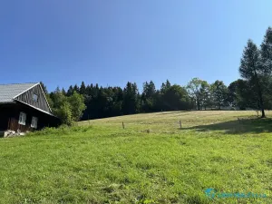 Prodej lesa, Krásná, 21810 m2