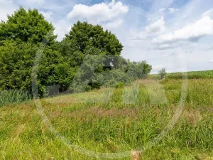 Prodej zahrady, Divišov, Vlašimská, 3569 m2