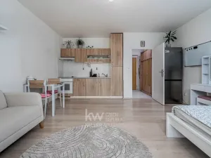 Prodej bytu 1+kk, Hostivice, Zimní, 30 m2
