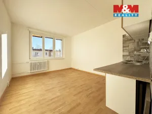 Pronájem bytu 1+kk, Horní Slavkov, Dlouhá, 20 m2