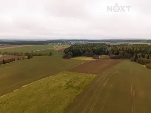 Prodej louky, Niva, 7301 m2