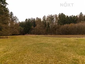 Prodej louky, Niva, 7301 m2