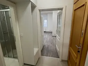 Pronájem bytu 2+kk, Praha - Žižkov, Jeseniova, 45 m2
