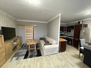 Prodej bytu 3+1, Teplice, Trnovanská, 68 m2