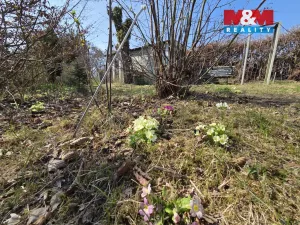 Prodej rodinného domu, Český Brod, Zahrady, 80 m2