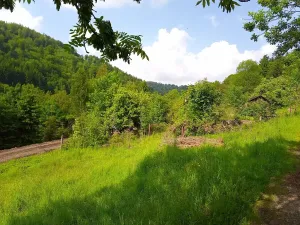 Prodej pozemku pro bydlení, Desná, Hutní, 2111 m2