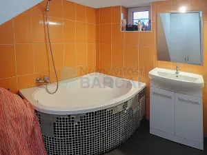 Prodej rodinného domu, Vestec, K Rybníku, 330 m2