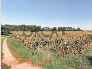 Prodej podílu pole, Svatobořice-Mistřín, 839 m2