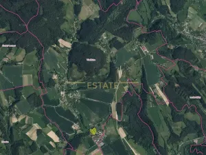 Prodej louky, Všelibice, 11160 m2