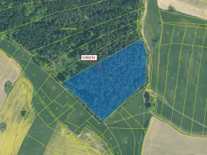 Dražba lesa, Přeborov, 16134 m2