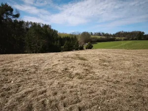 Prodej pozemku pro bydlení, Slapy, 2924 m2