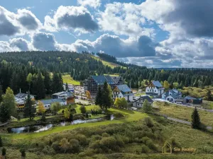 Prodej bytu 1+kk, Abertamy, Plešivecká, 45 m2