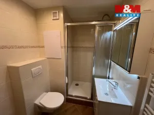 Pronájem bytu 1+1, Děčín - Děčín XXVII-Březiny, Kosmonautů, 36 m2