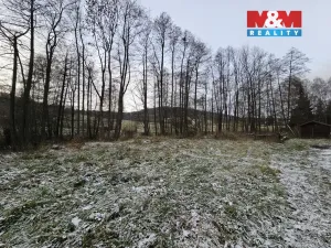 Prodej restaurace, Mařenice - Dolní Světlá, 598 m2