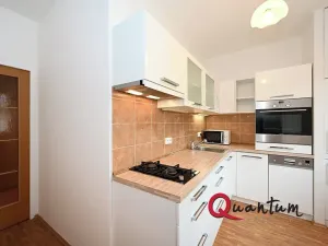 Pronájem bytu 2+1, Praha - Záběhlice, Sasanková, 58 m2
