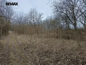 Prodej pozemku, Zábřeh, 3482 m2