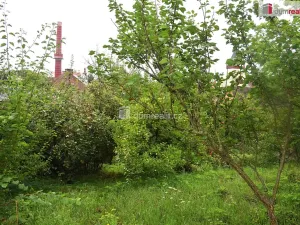 Prodej zahrady, Dobrovice, 636 m2
