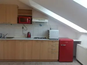 Pronájem bytu 1+kk, Brno, Skopalíkova, 25 m2