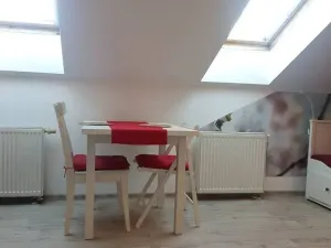 Pronájem bytu 1+kk, Brno, Skopalíkova, 25 m2