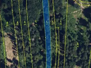 Prodej lesa, Ochoz, 1833 m2