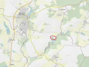 Prodej lesa, Kamenice nad Lipou, 5521 m2