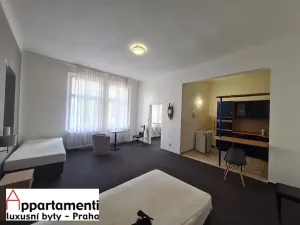 Pronájem bytu 2+kk, Plzeň, Bedřicha Smetany, 64 m2