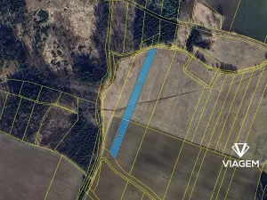 Prodej pole, Mlázovice, 5121 m2