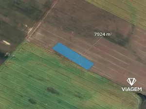 Prodej podílu pole, Kropáčova Vrutice, 1981 m2