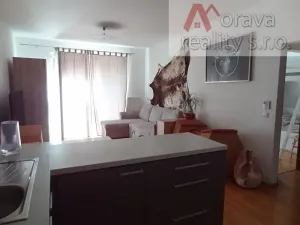 Pronájem bytu 2+kk, Brno, Nad Přehradou, 50 m2