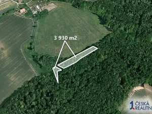 Prodej podílu lesa, Malhotice, 1965 m2