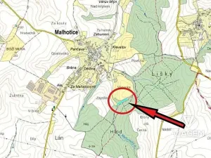 Prodej podílu lesa, Malhotice, 1965 m2