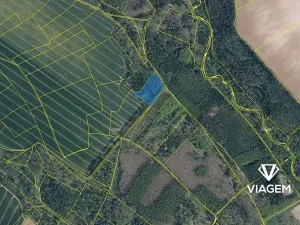 Prodej podílu lesa, Mělnické Vtelno, 980 m2
