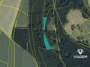 Prodej podílu lesa, Sudislav nad Orlicí, 2486 m2