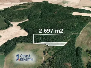 Prodej podílu lesa, Rybníky, 2697 m2