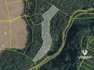 Prodej podílu lesa, České Lhotice, 7146 m2